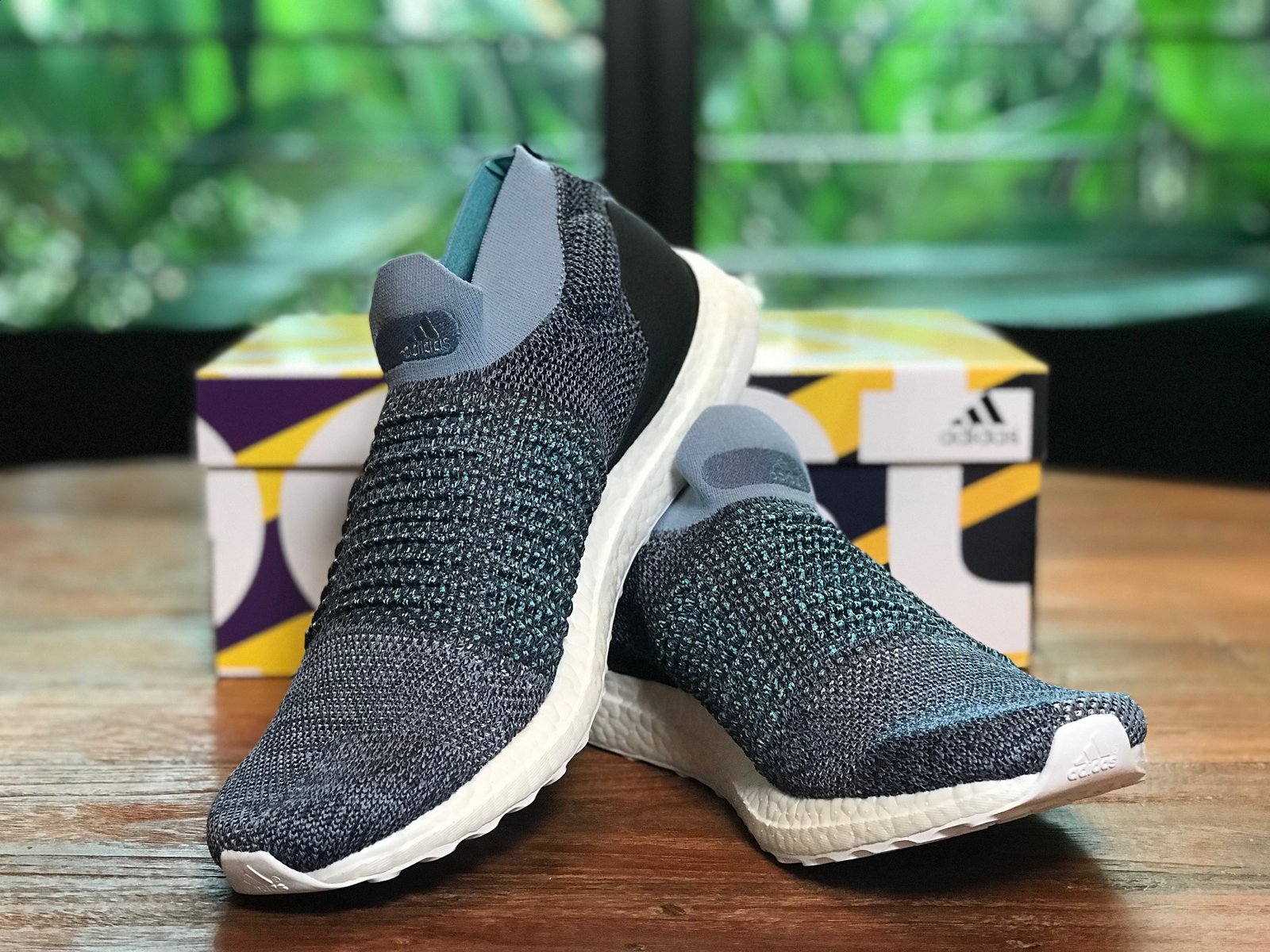 laceless parley